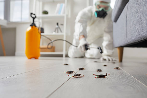 Post-Treatment Bed Bug Interceptor Monitoring in Canon