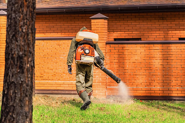 Bed Bug Clearance Verification and Documentation in Canon